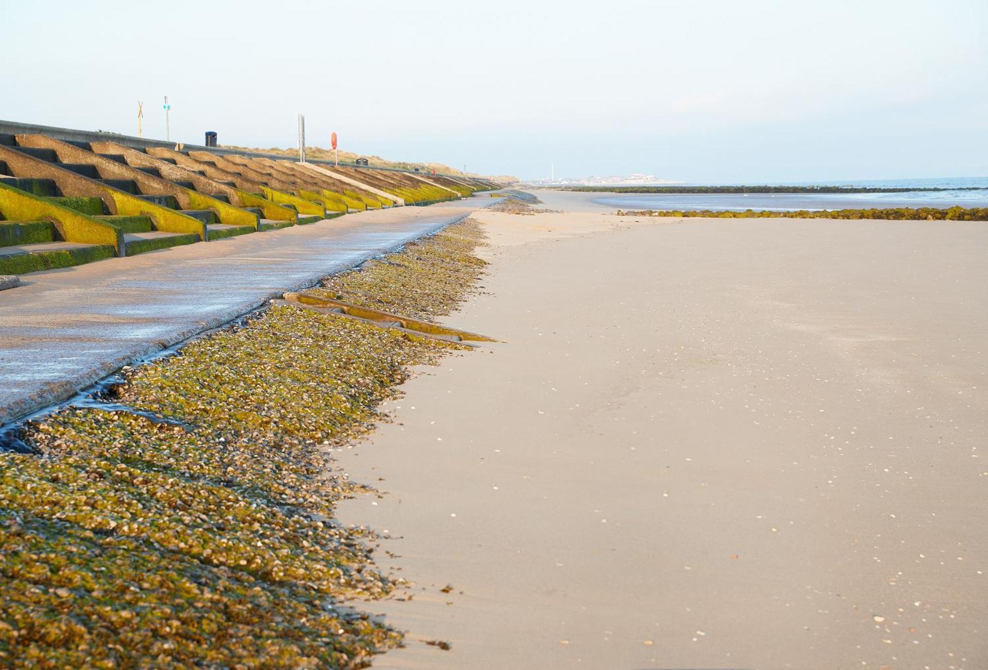 The Barn At Plas Ashpool Sleeps 8 Llandyrnog Esterno foto